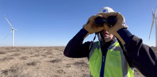 Masdar Harnesses Power of AI to Protect Birds of Prey at Zarafshan Wind Farm